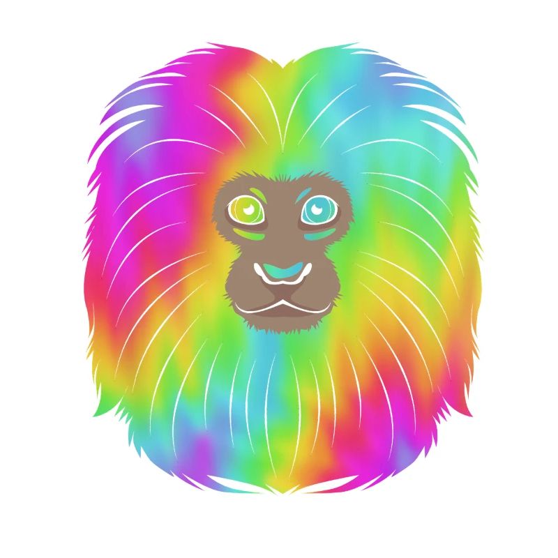 Singe Tamarin Singe Singe Visage de Singe