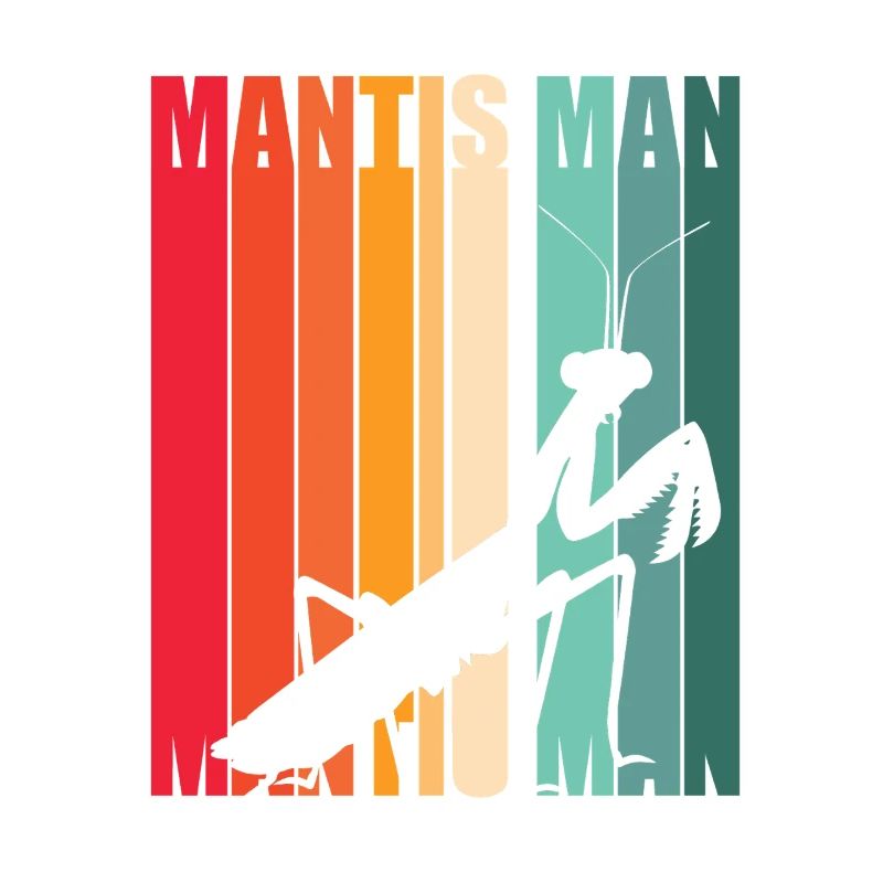 Mantis Gottesanbeter Gottesanbeterin