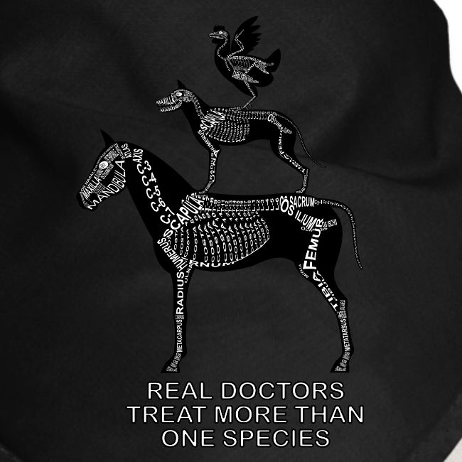Real Doctors... Petits animaux