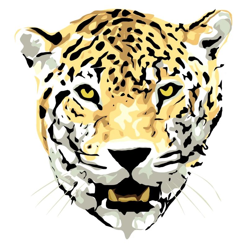 guépard chat ocelot léopard jaguar, guépard wildcat29