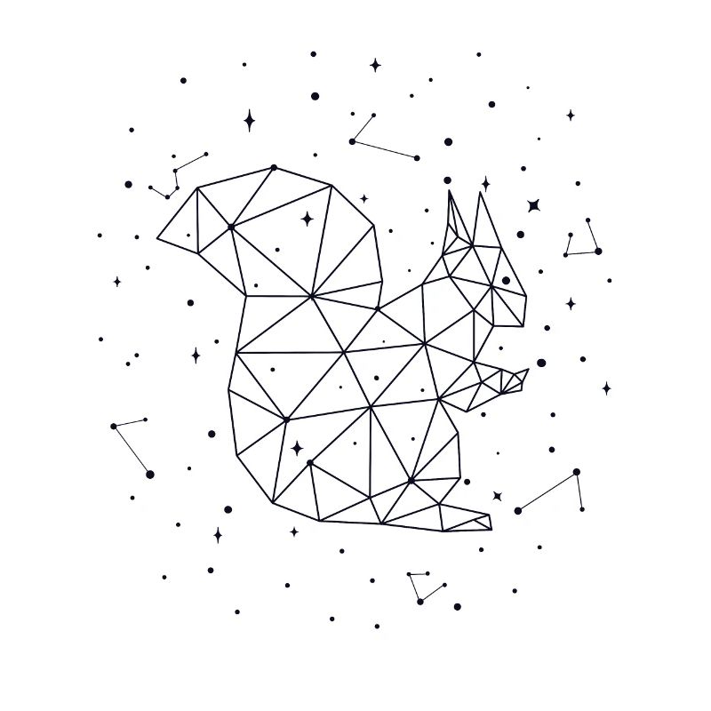 Constellation Squirrel Constellation Squirrel