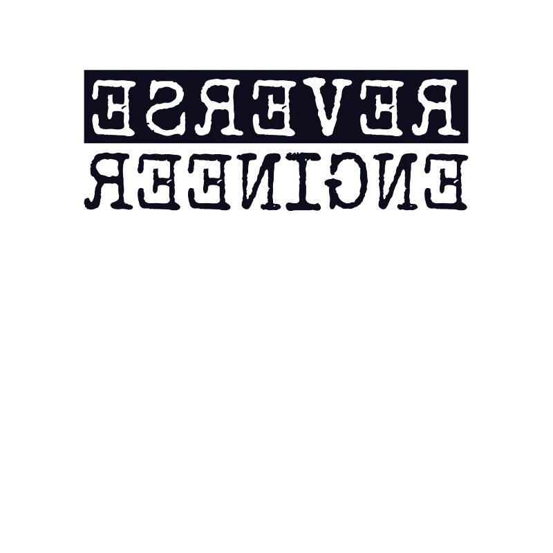 Reverse Engineer Softwareingenieur Developer