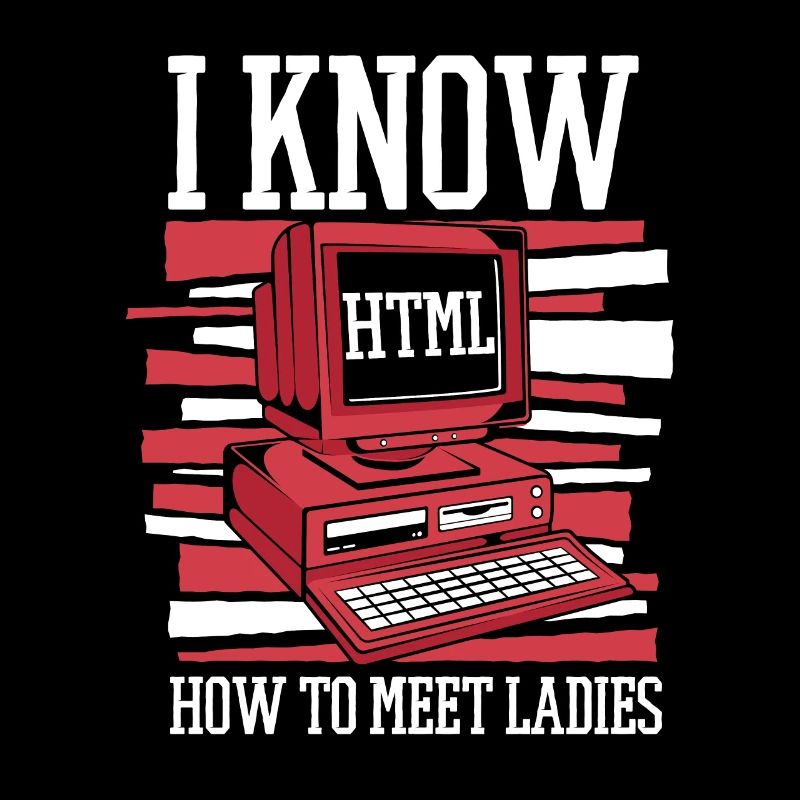 I Know Hot To Meet Ladies Developer Coder