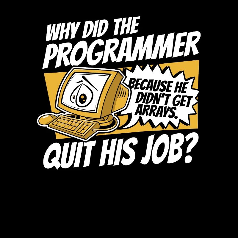 Why Did Programmer Quit Job Developer Coder