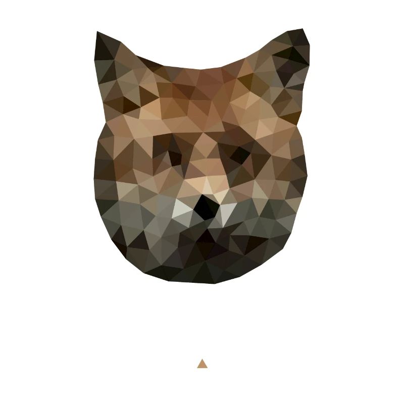 Fox Caninae Red Fox Canidae Fox Lover Fox