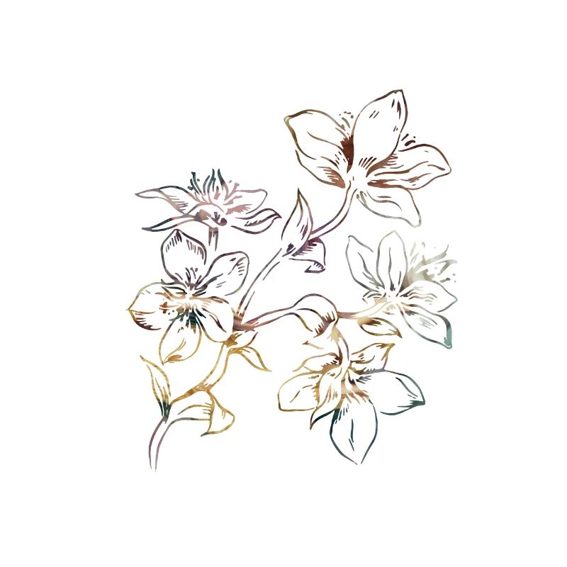 belles fleurs