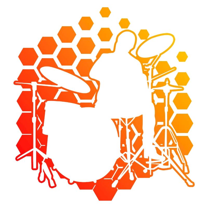 Drum Kit Drums Percussionist