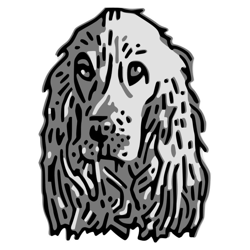 cocker