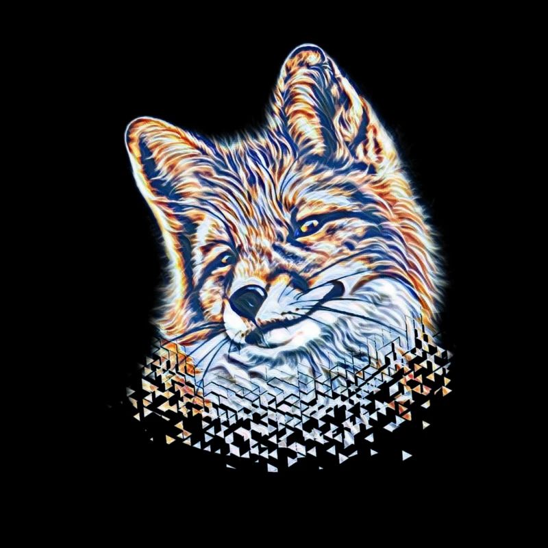 Fuchs