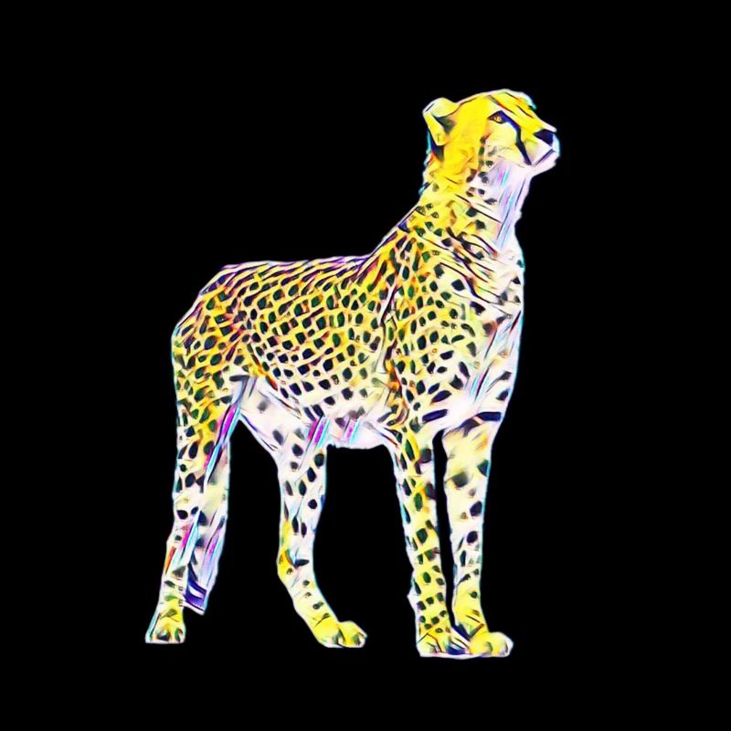 cheetah