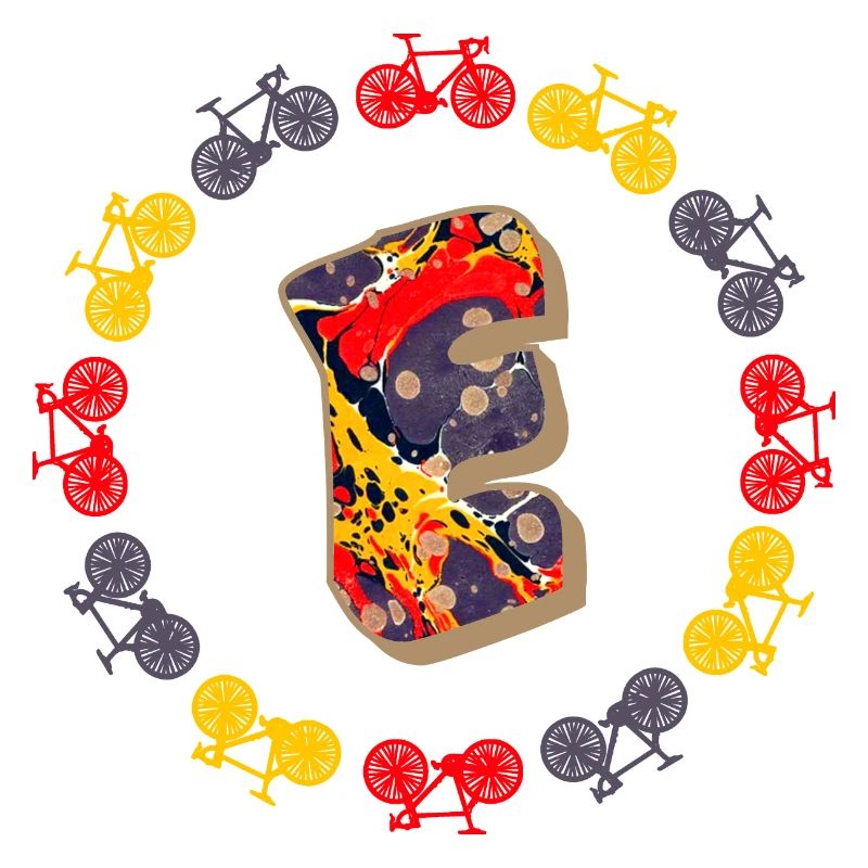 Bicycle E 202 E