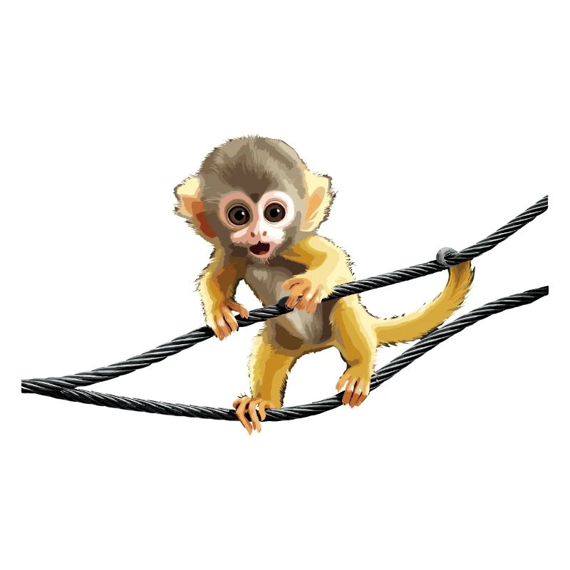 Écureuil singe Écureuil singe singe singe bébé