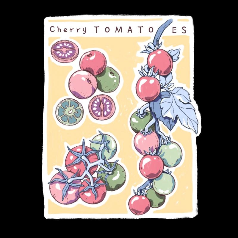Tomates cerises - dessin