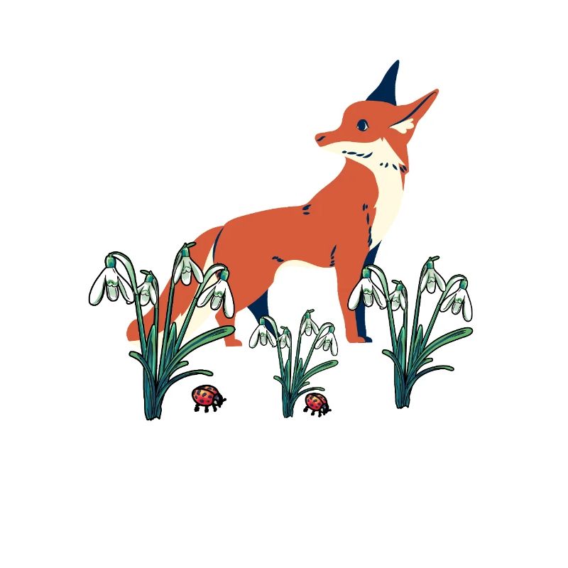 Spring Snowdrops Fox Foxes