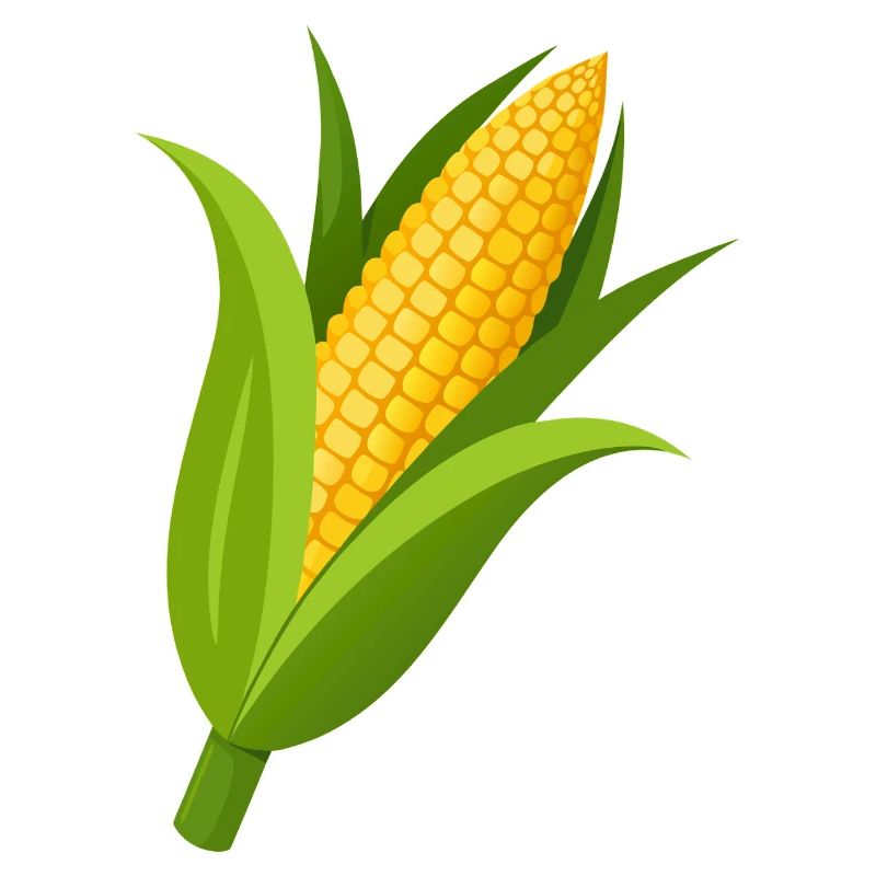 Corn stalk