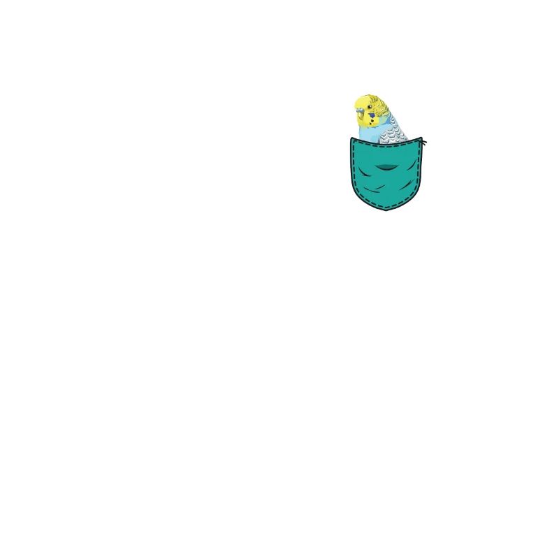 Budgerigar
