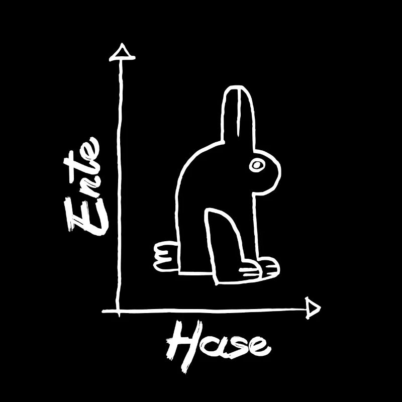 Math Canard Lapin Cours de Mathématiques Fun