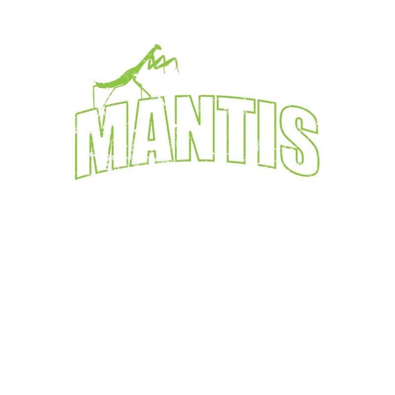 Insecte mante sur le script