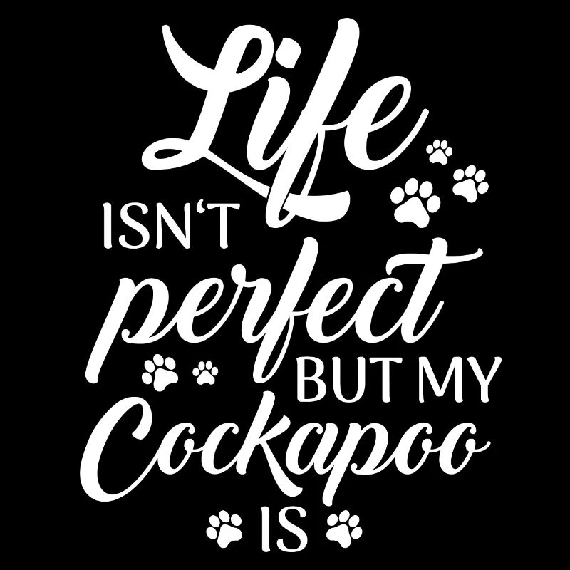 Cockapoo Chien