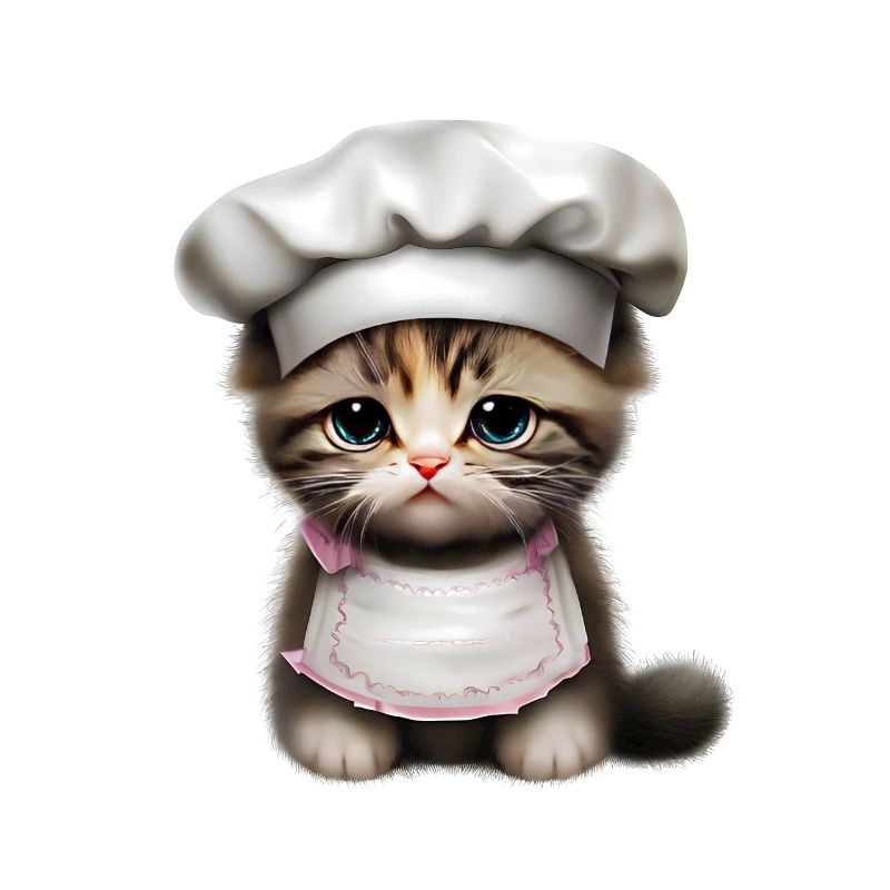 Chef Cat