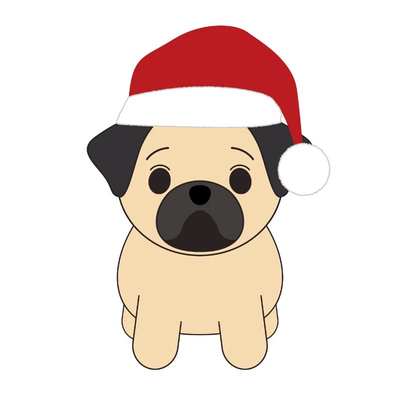 Carlin Noël