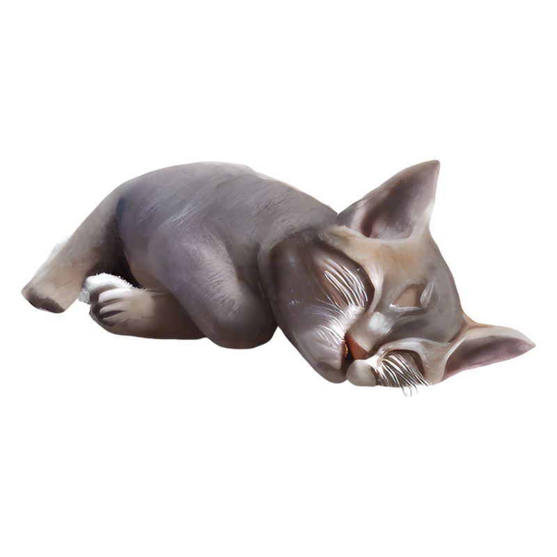 Sleeping cat