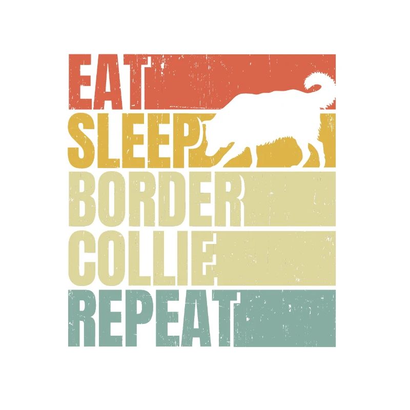 Manger dormir Border-collie répéter