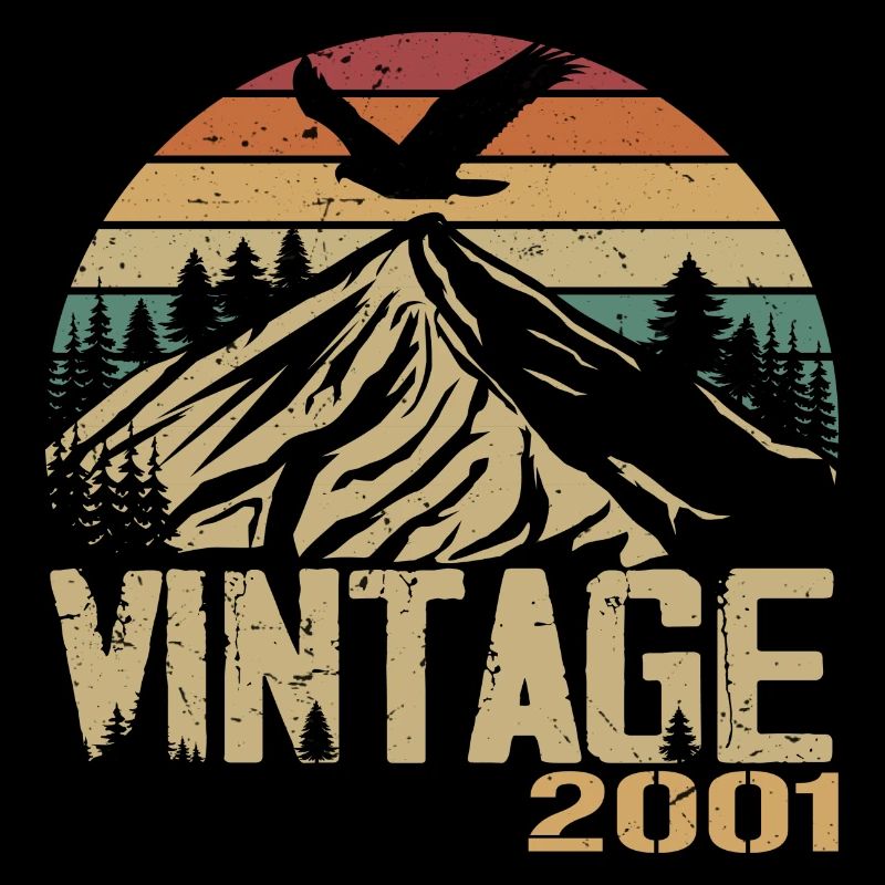 Vintage 2001 Retro 2001 Anniversary Gift