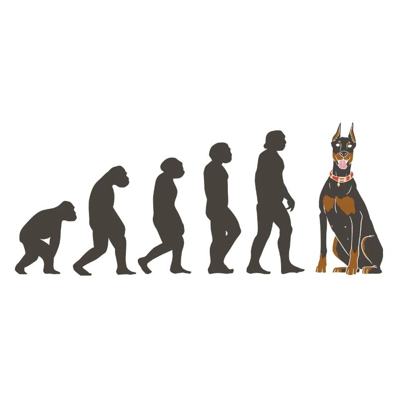 Evolution Doberman Pinscher