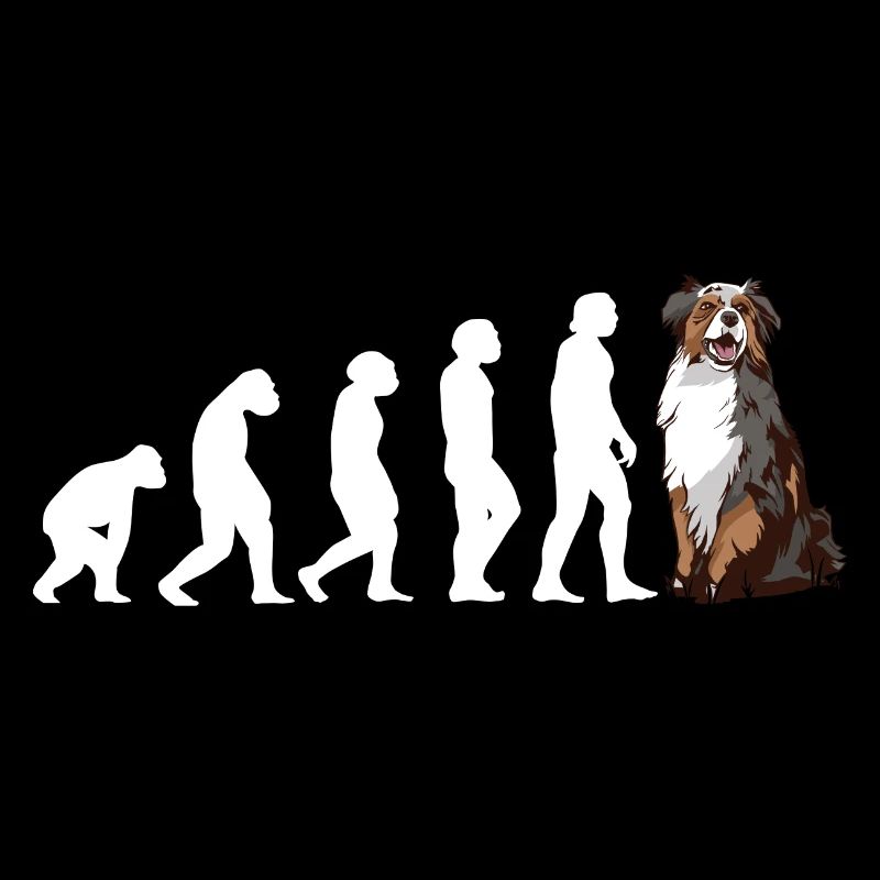 Dog Evolution Aussie