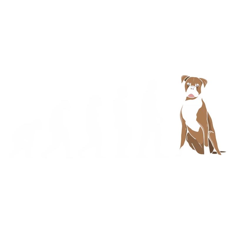 Evolution Boxer