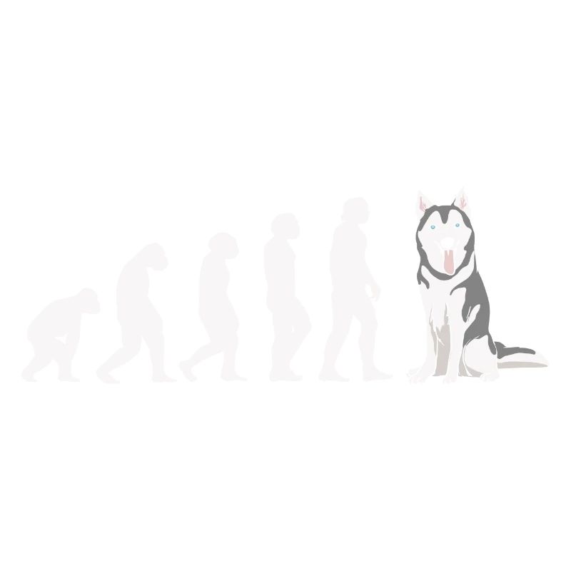 Evolution Husky sibérien