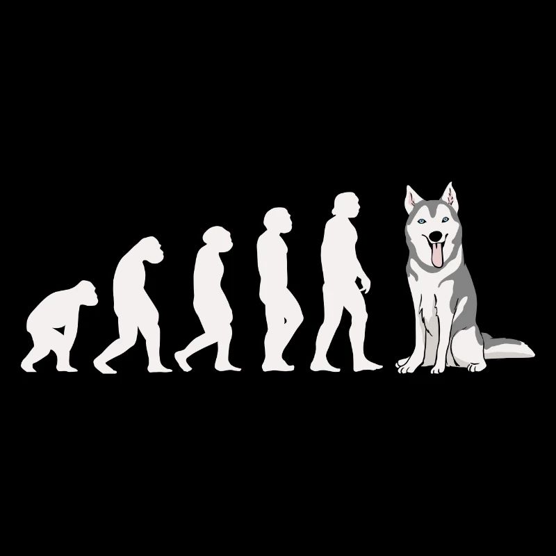 Evolution Siberian Husky