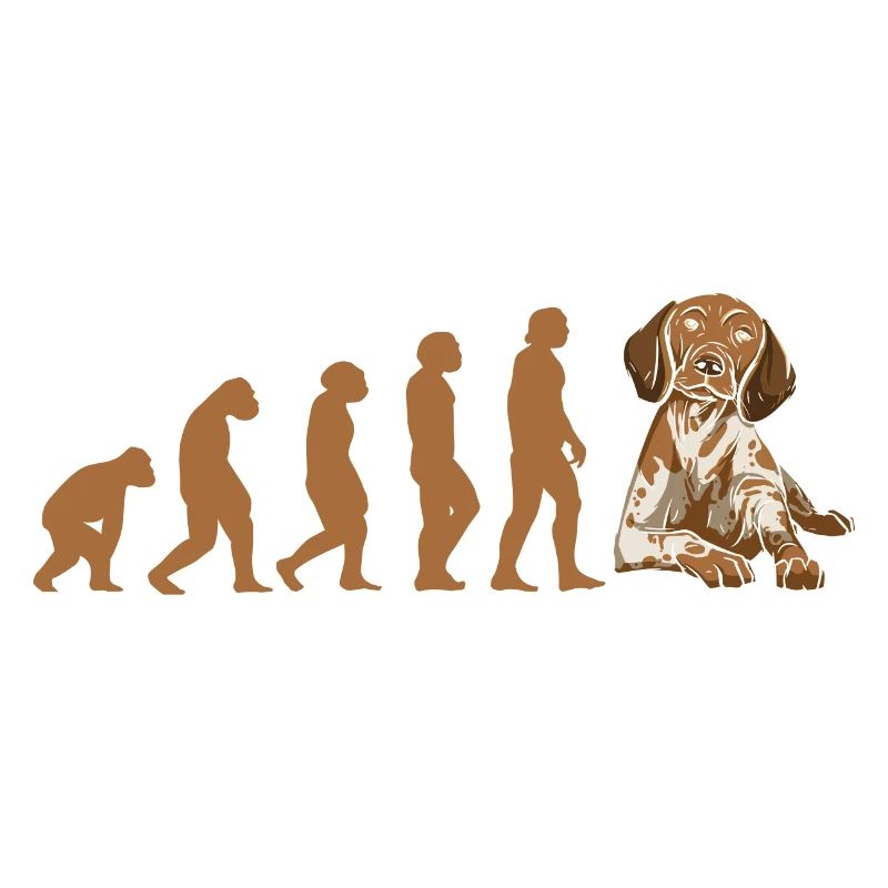 Evolution German Shorthaired Pointer