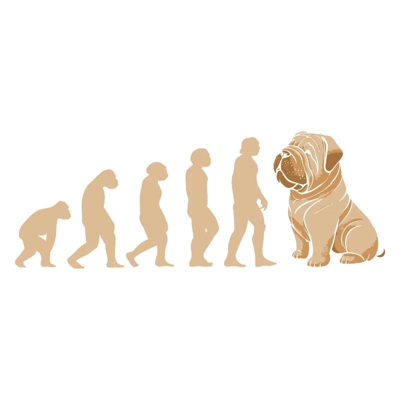 Evolution Shar Pei