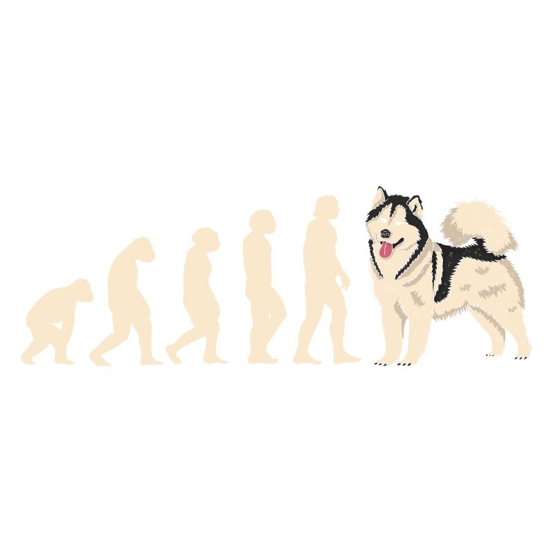Evolution Alaskan Malamute