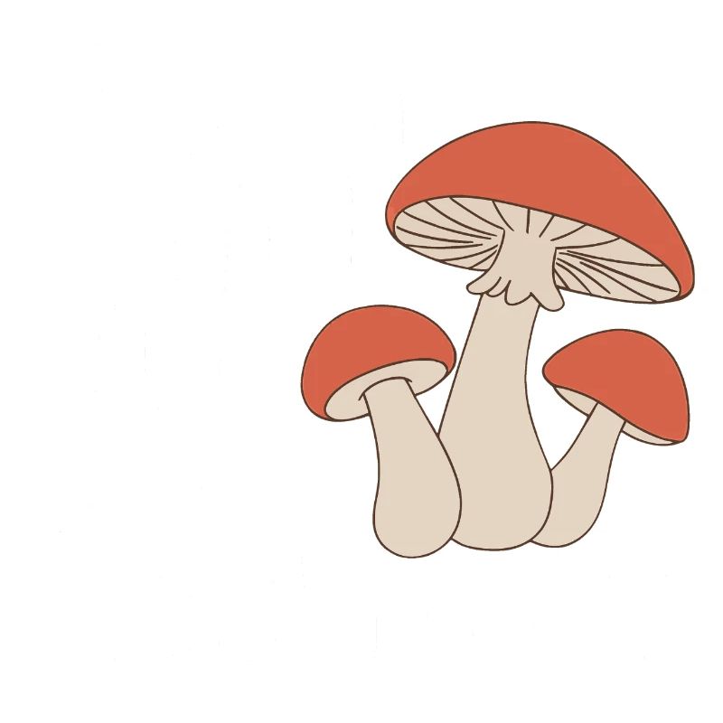 Champignons Champignons Champignon Champignon