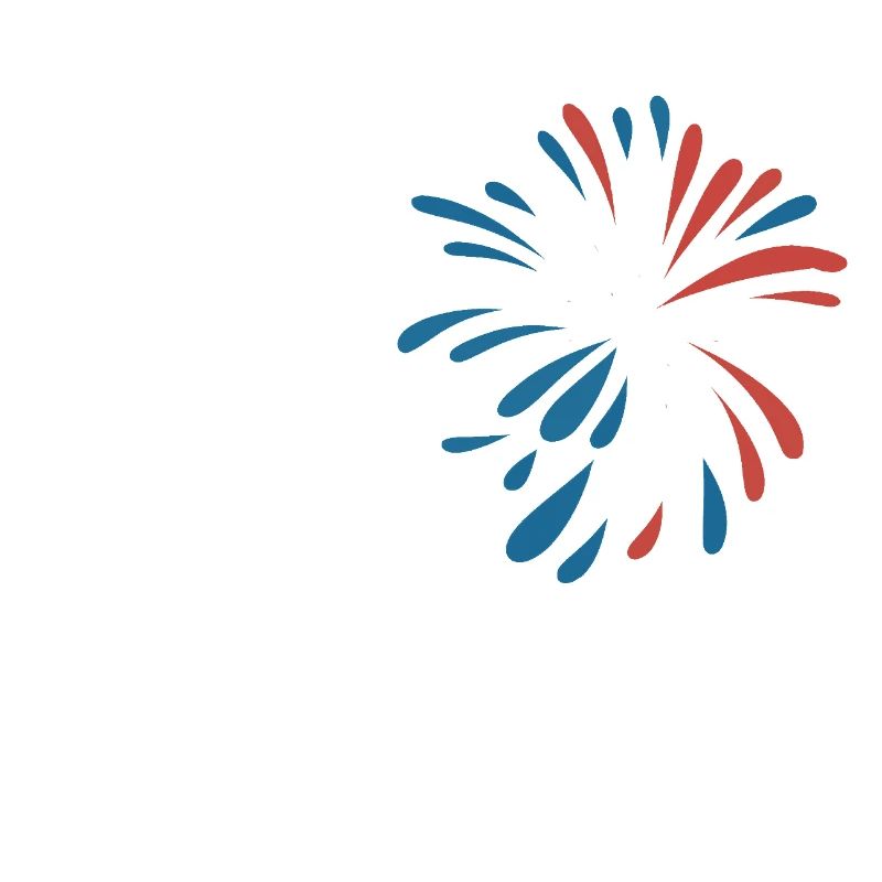 Pyrotechnics Fireworks Pyrotechnics
