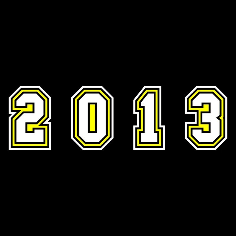 2013 Year Number