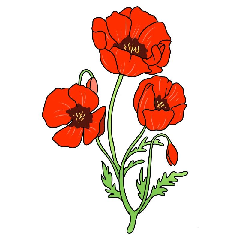 Mohnblume