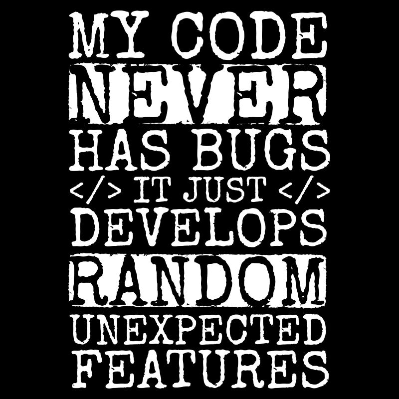 Software Ingenieur Informatiker Programmierer