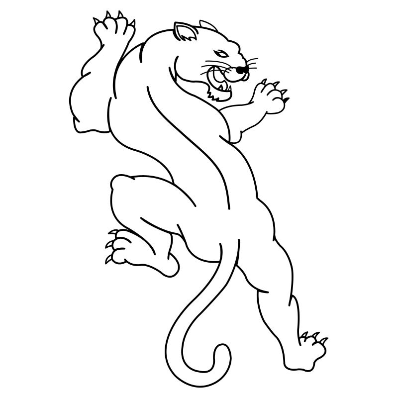 panthers 01