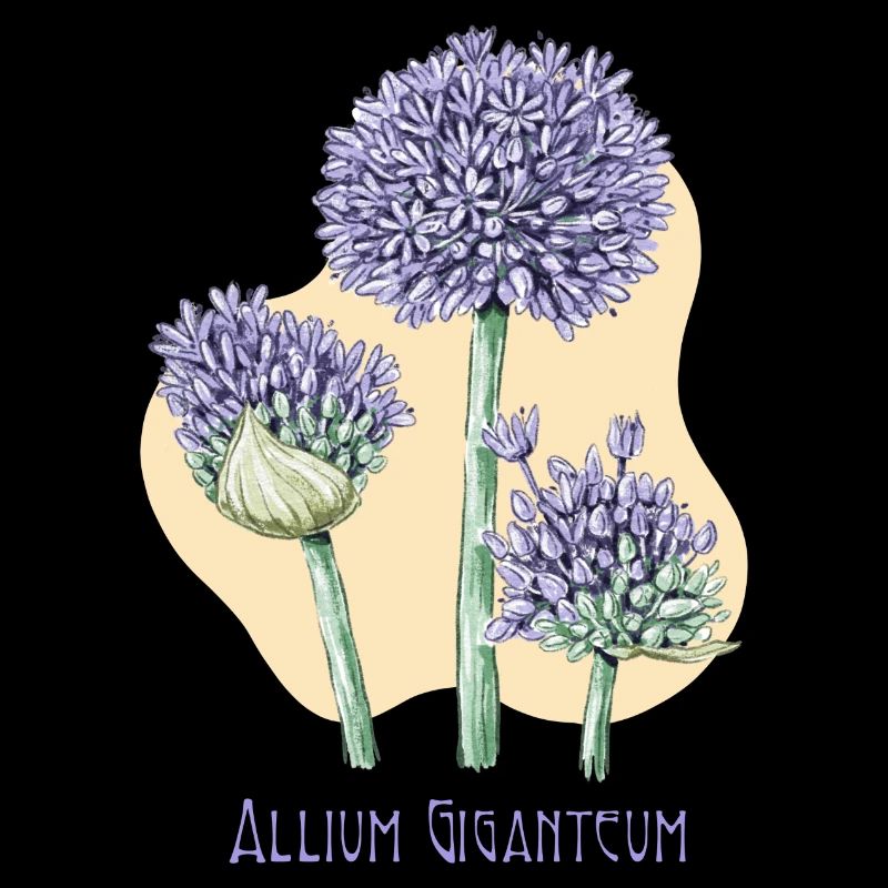 Dessin botanique géant à l’ail