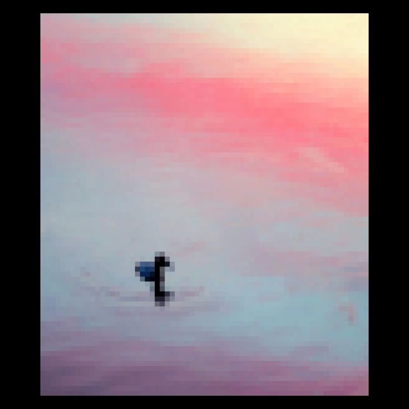 pixelated duck