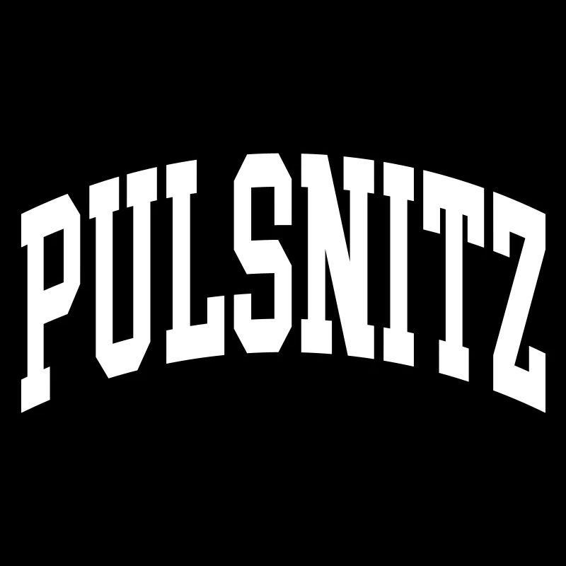 Pulsnitz
