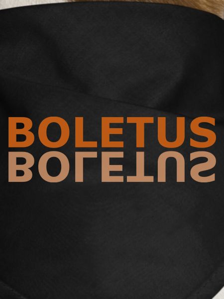 BOLETUS