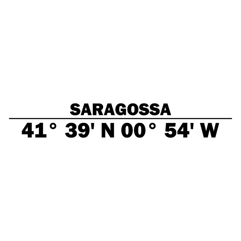 Zaragoza coordinates