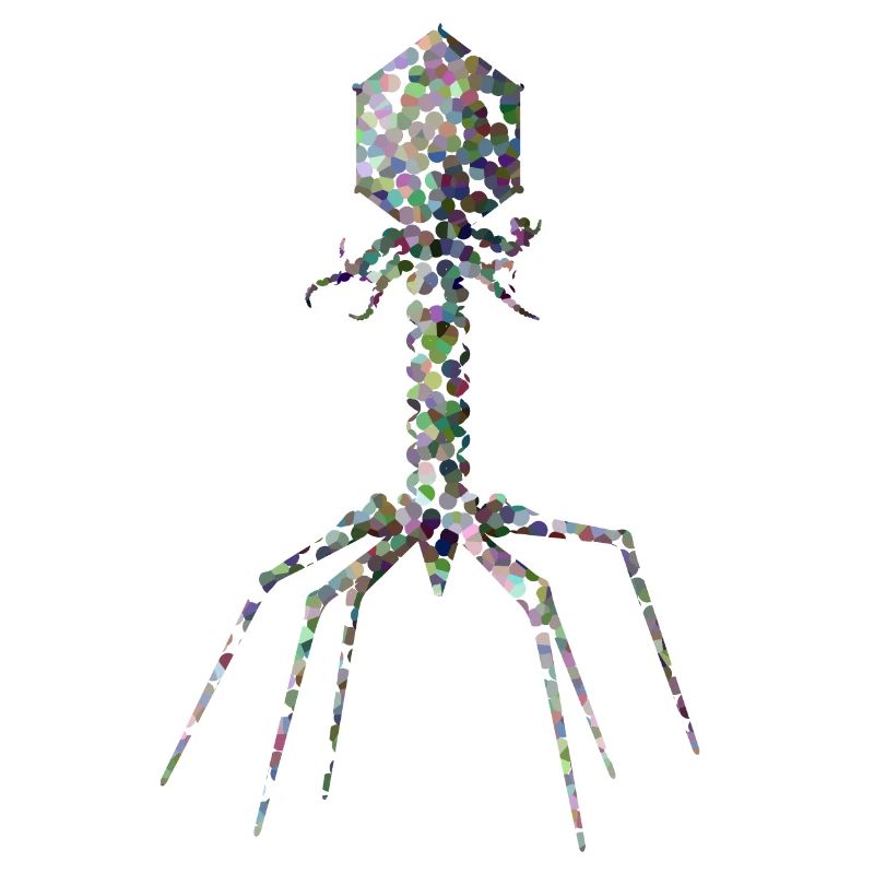 Bactériophage