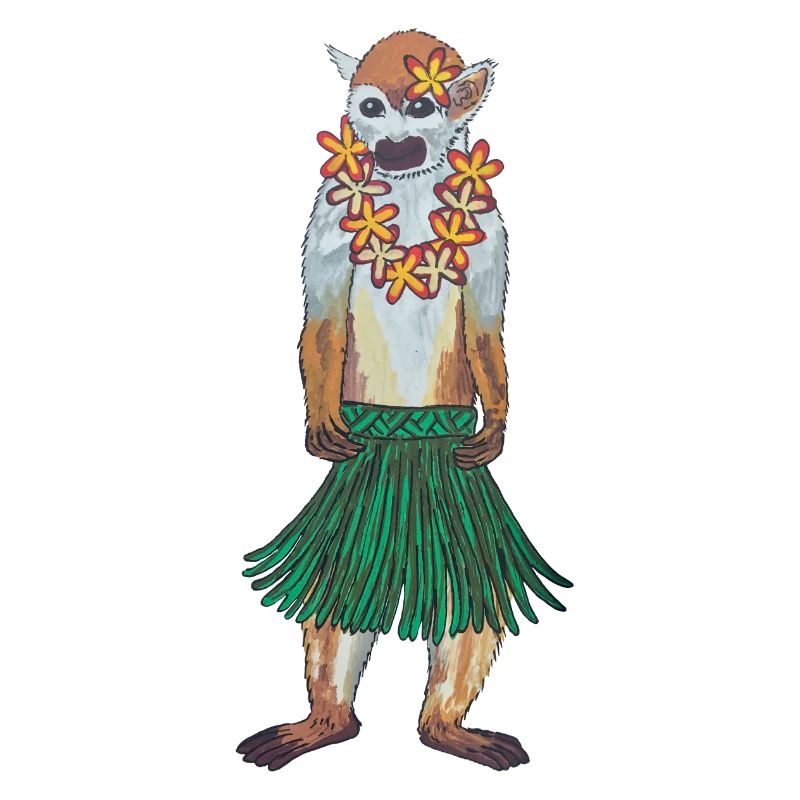 Squirrel Monkey Monkey Hawaii Hula Monkey Hula Hoola
