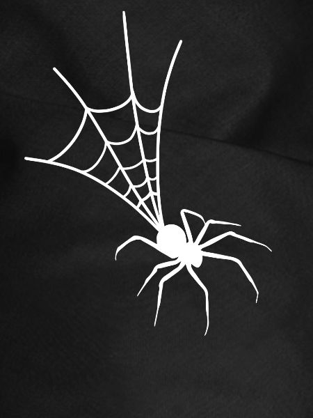 araignée